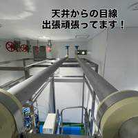 画像252