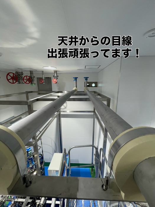 画像252